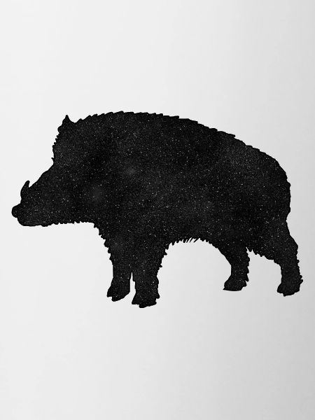 Wild boar