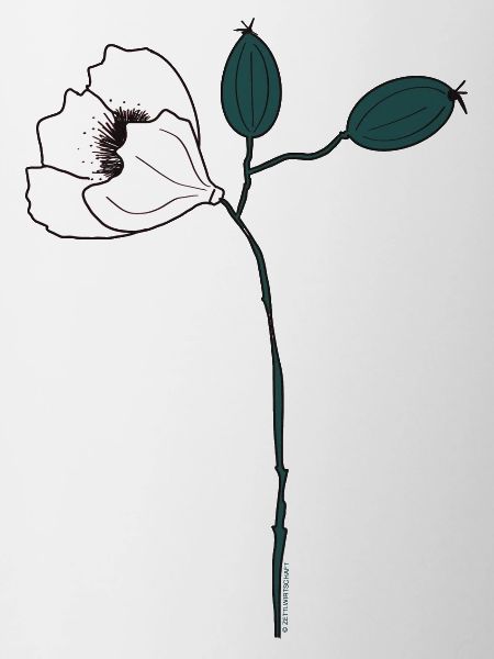 fleur