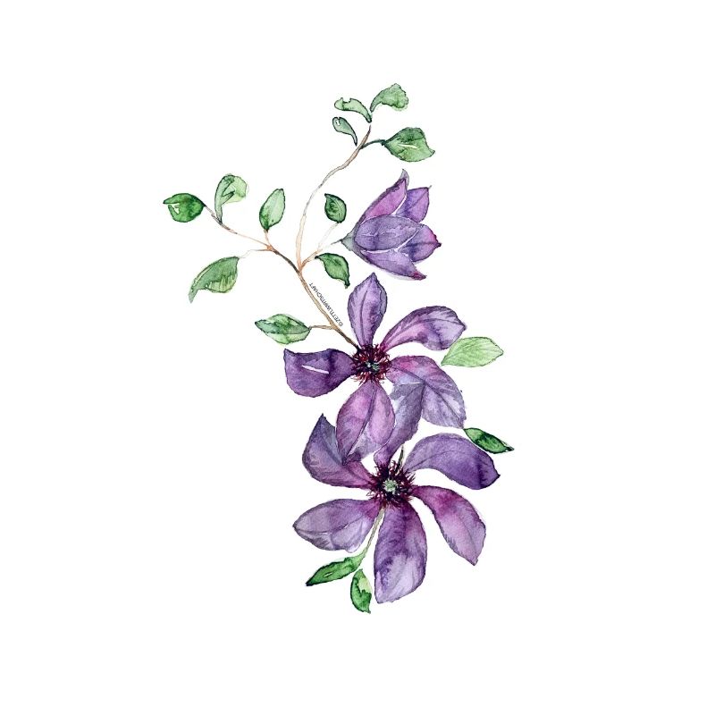 Vrille fleurie