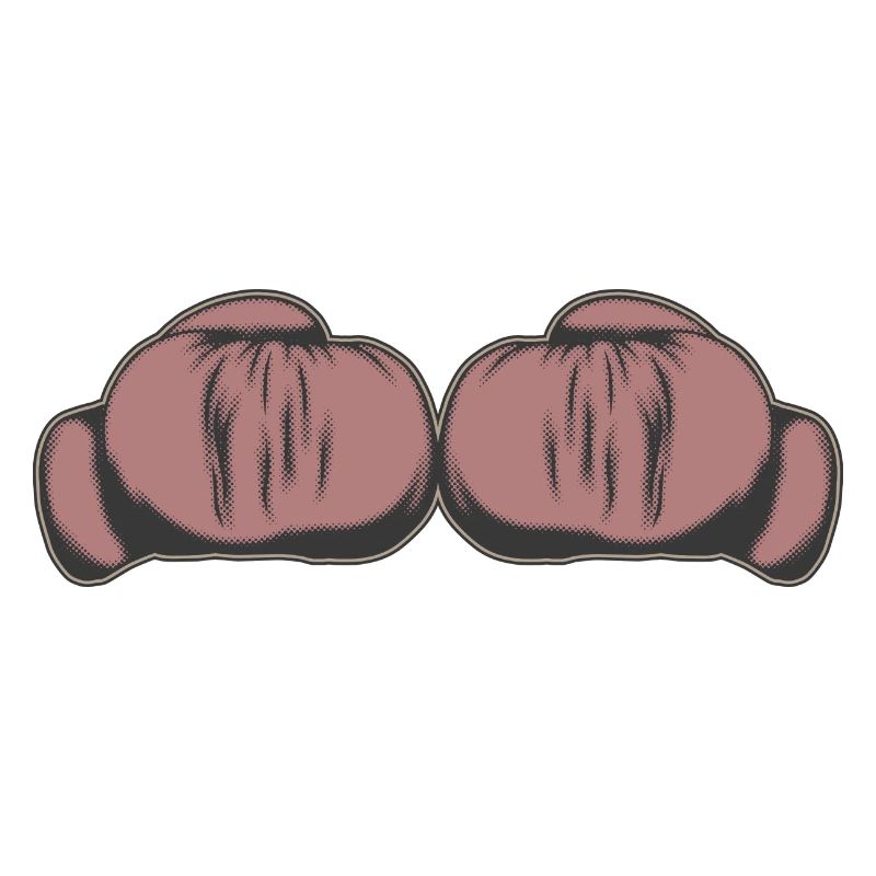 Boxhandschuhe