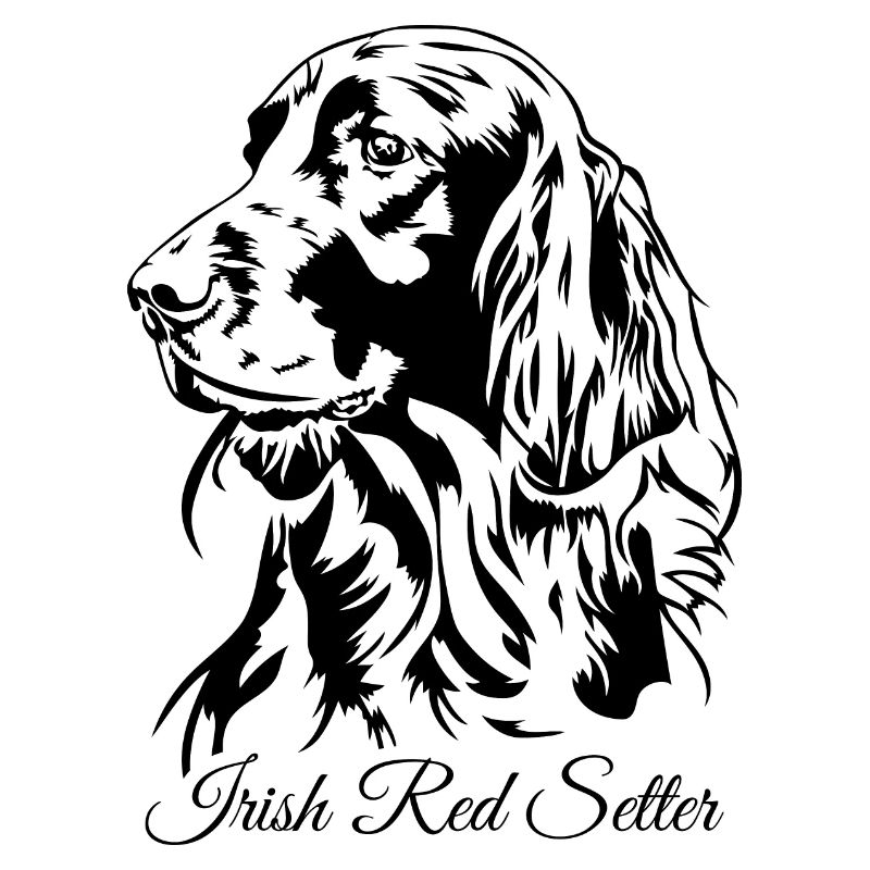 Irish Red Setter Chien de chasse Chiens de chasse Chiens Wilsigns
