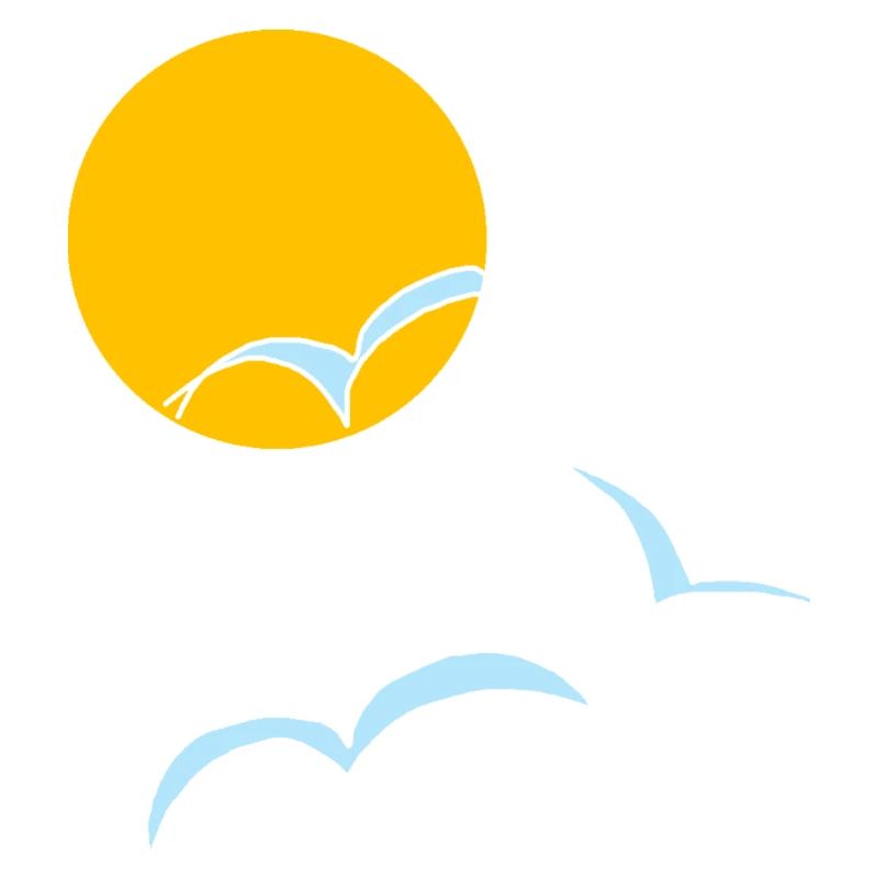 Mouettes Sun 02