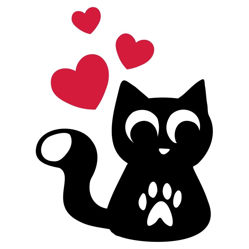 Cute Cute Cat - Cute adorable cat