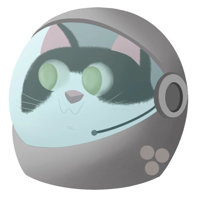 Chat astronaute