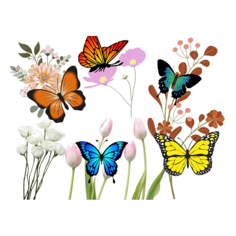 fleurs
