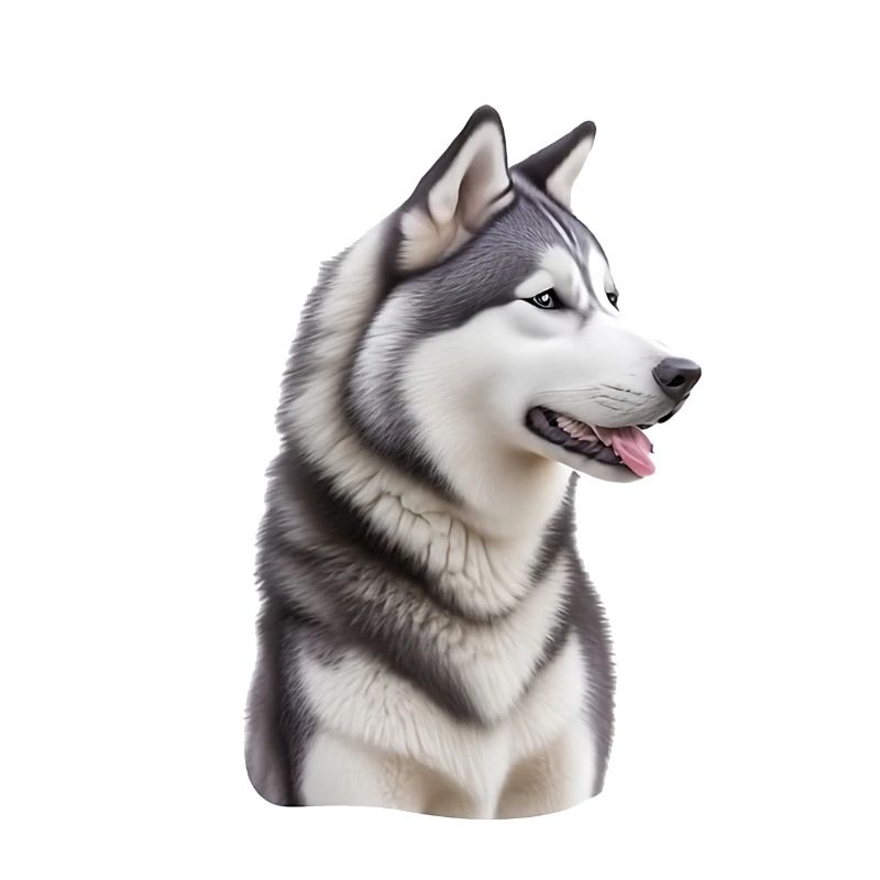 Husky