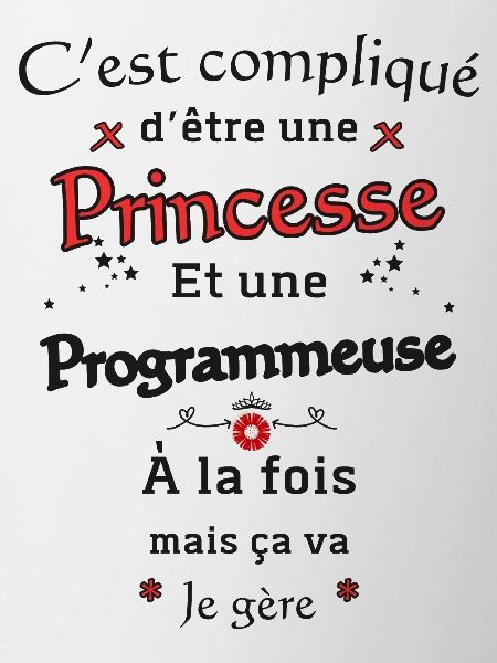 Princesse Programmeuse