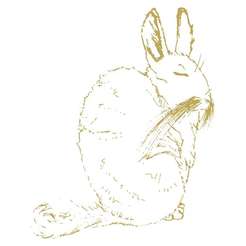 Illustrierte Designs mit Viscacha
