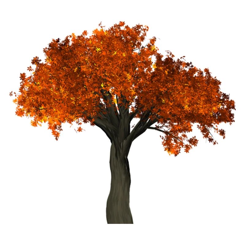 Tree with orange leaves - Autumn