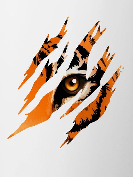 Tiger Eye