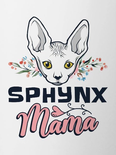 Sphynx chat Sphynx chat