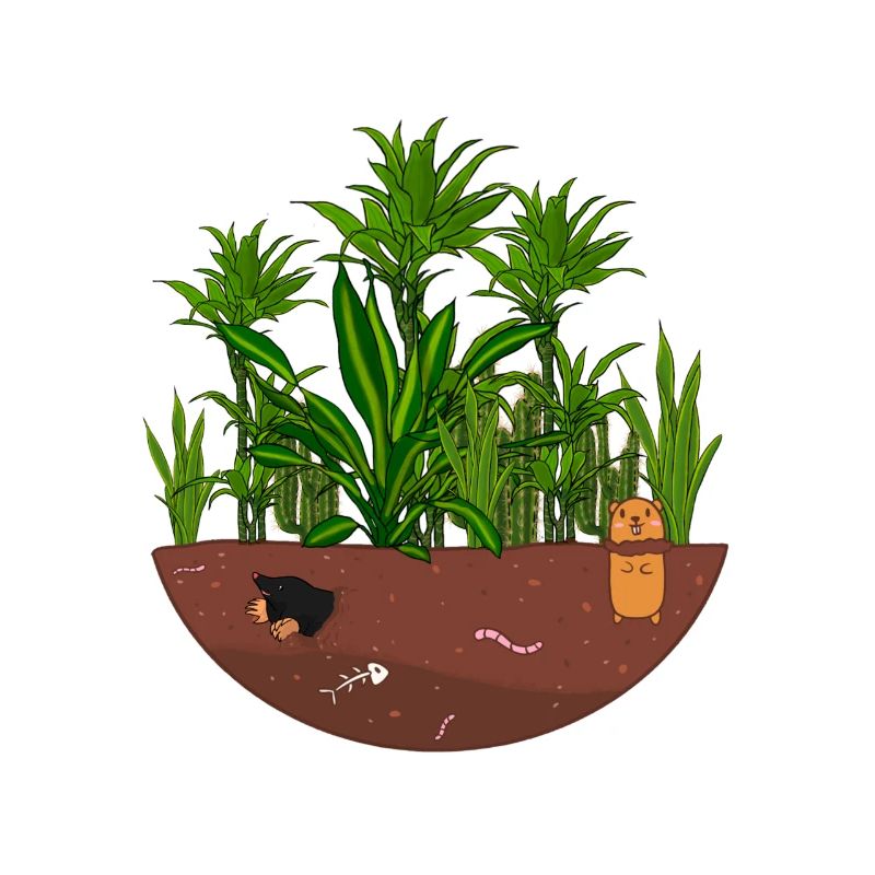 Jardin de la jungle
