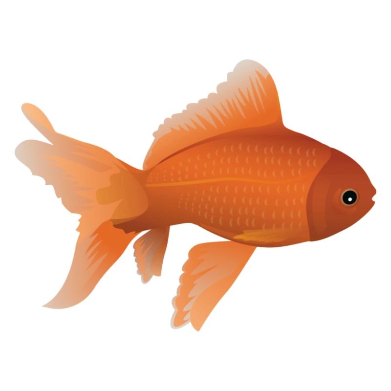 Poisson Rouge