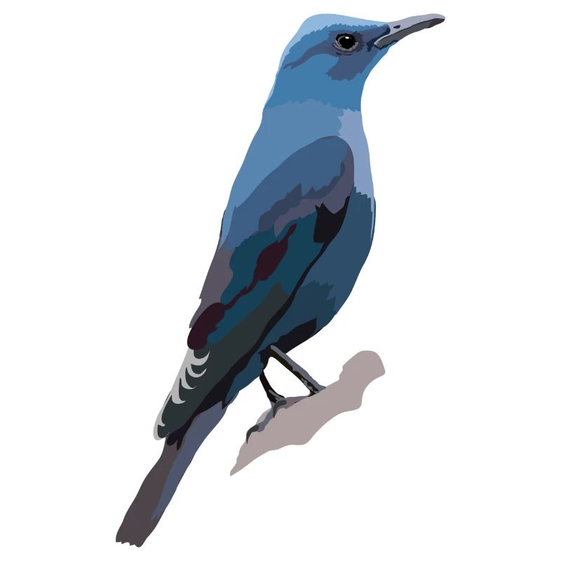 Blaumerle