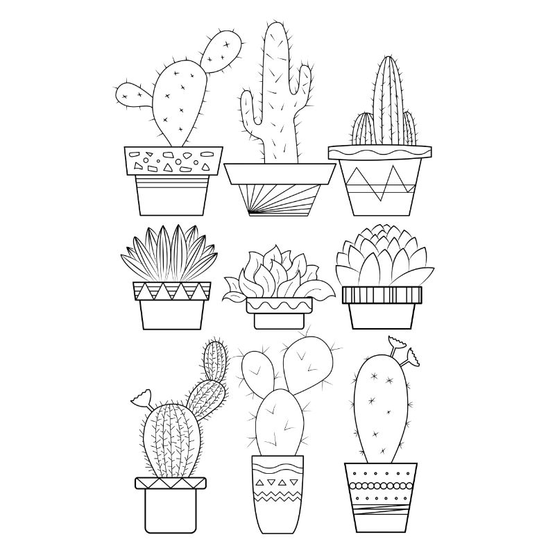 Concours de neuf cactus