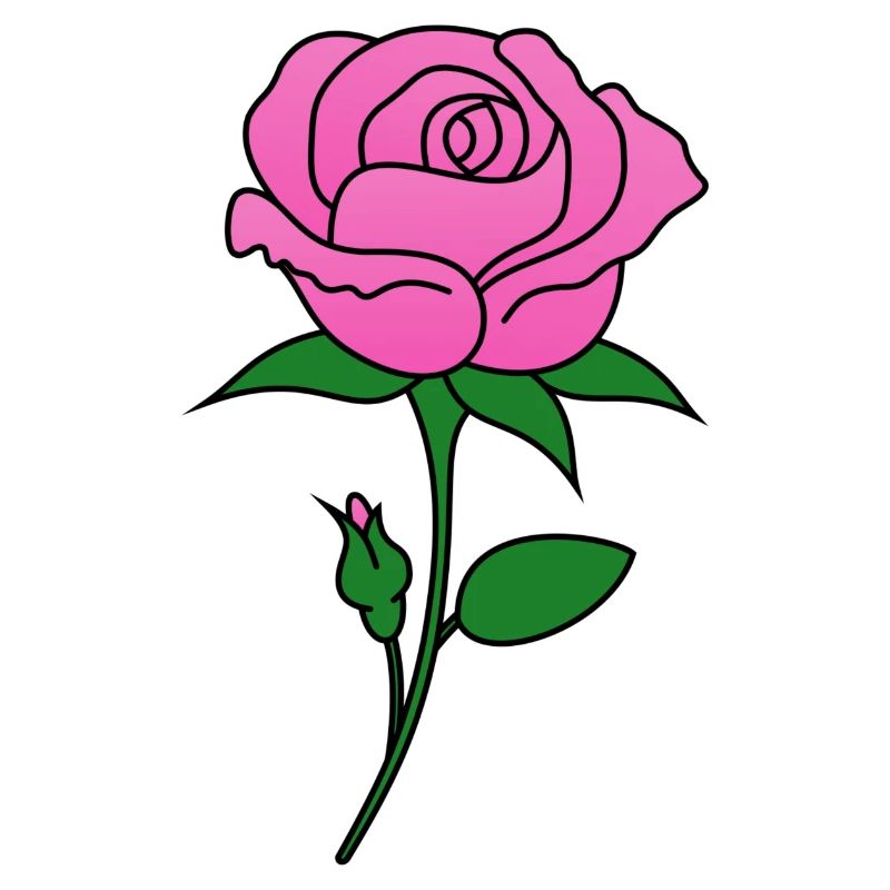 Rose pink