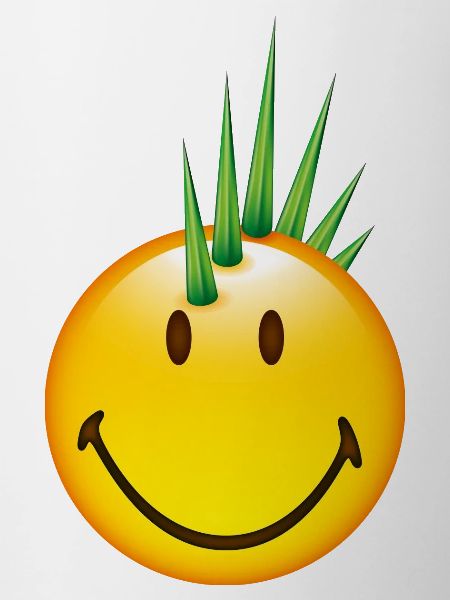 Smiley Punk