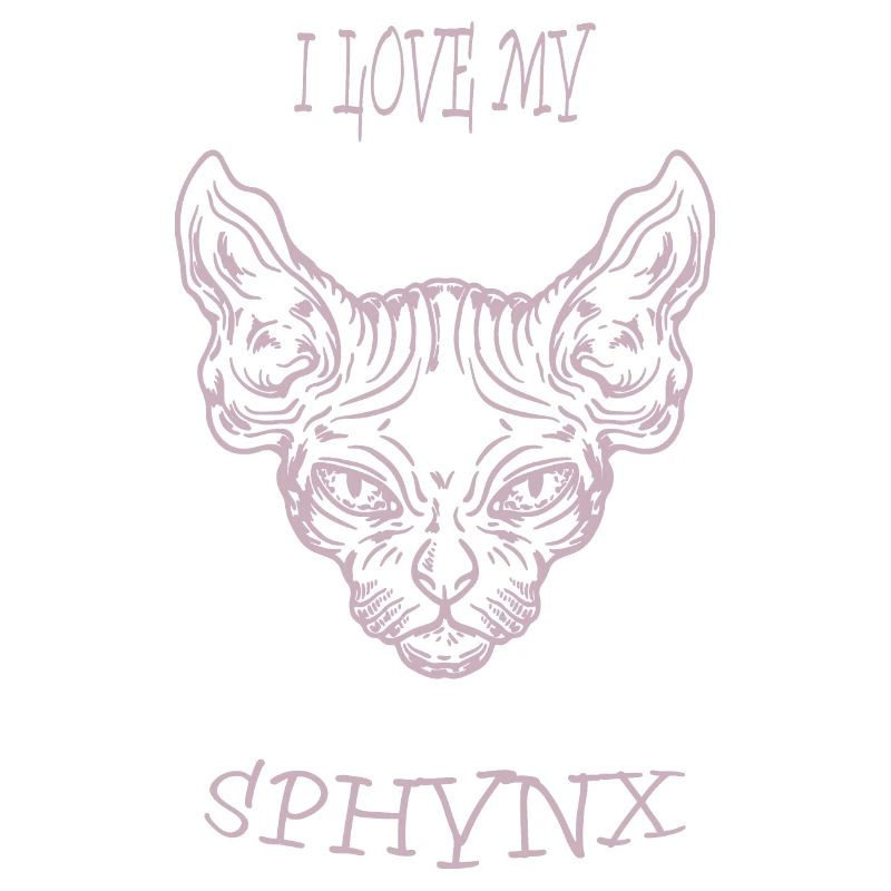 Nacktkatze Sphynx Katze