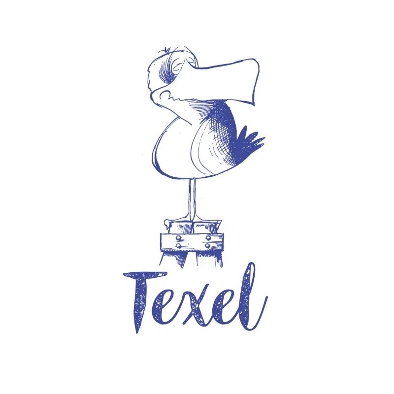 Texel Moewe