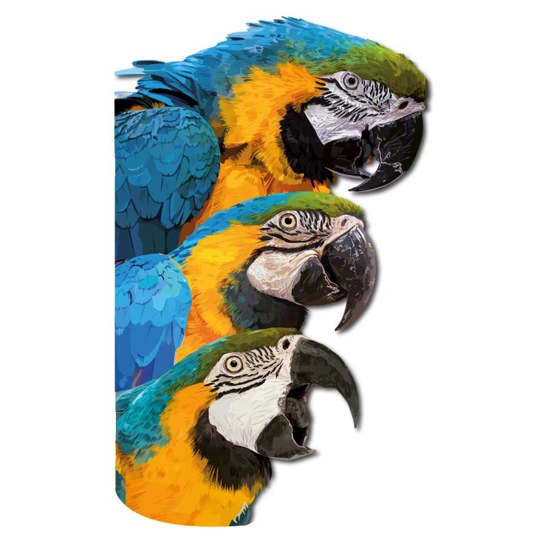 Blue-and-yellow Macaw