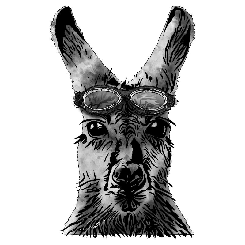 Känguru