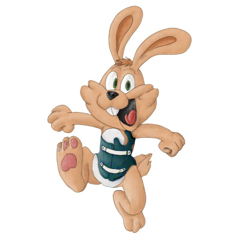 Rabbit with corset