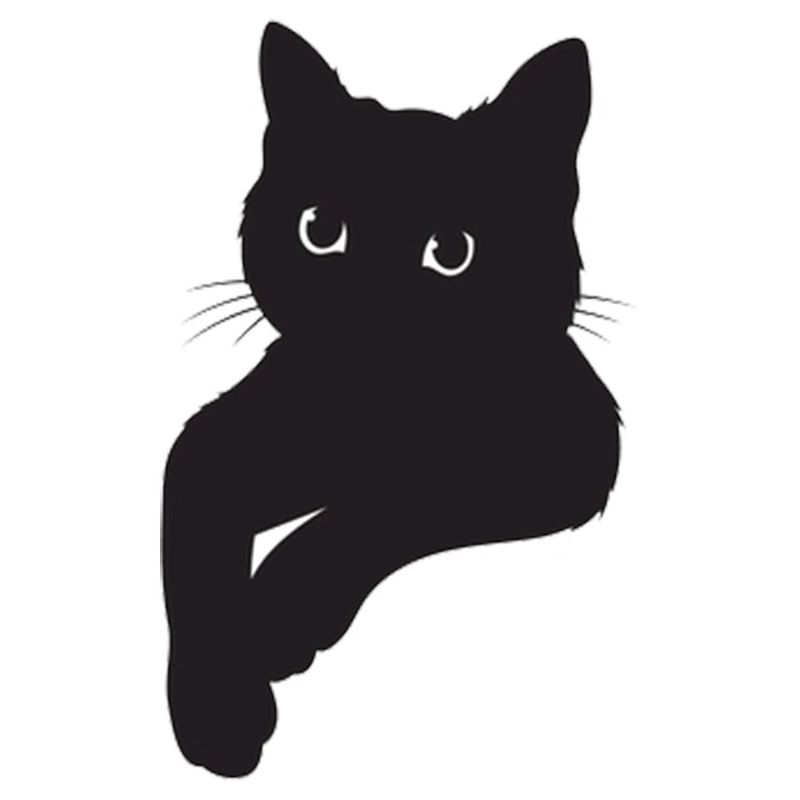 Pose de chat noir
