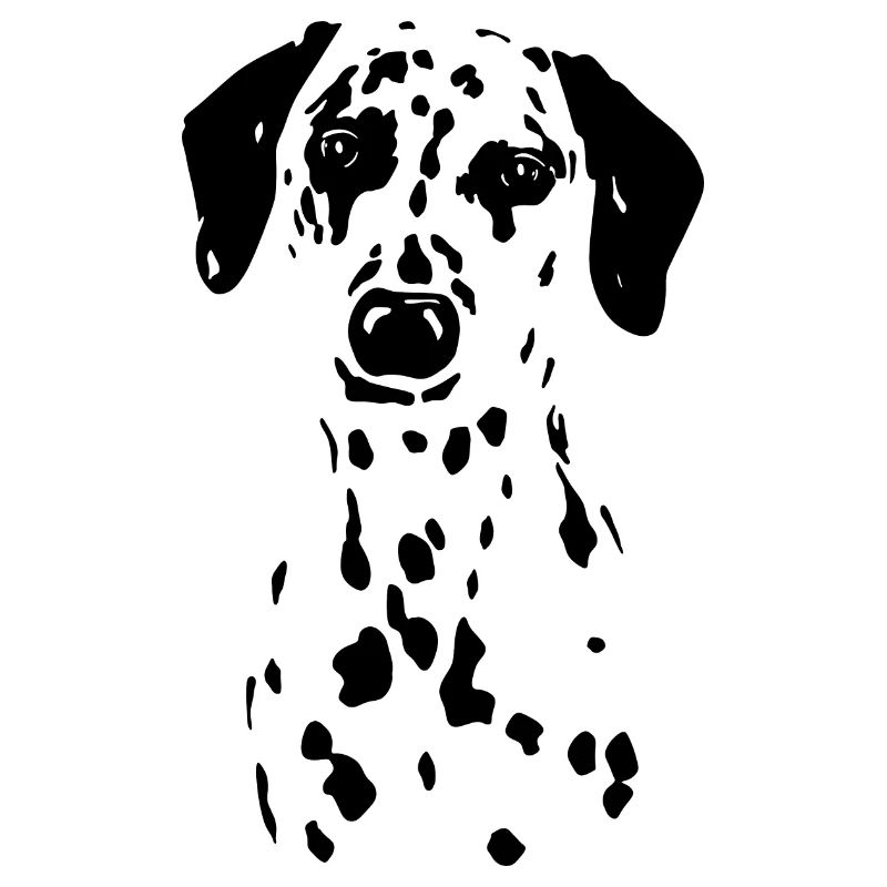 Chiot chien dalmatien parsemé de noir blanc