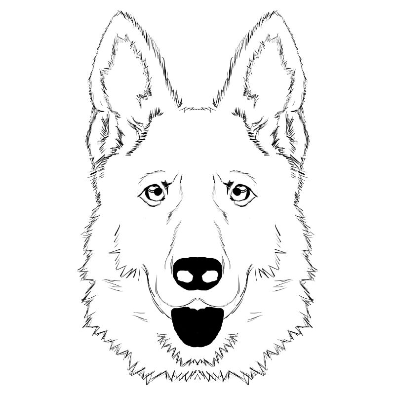 Deutscher Schäferhund Kopf, schwarz, niedlich