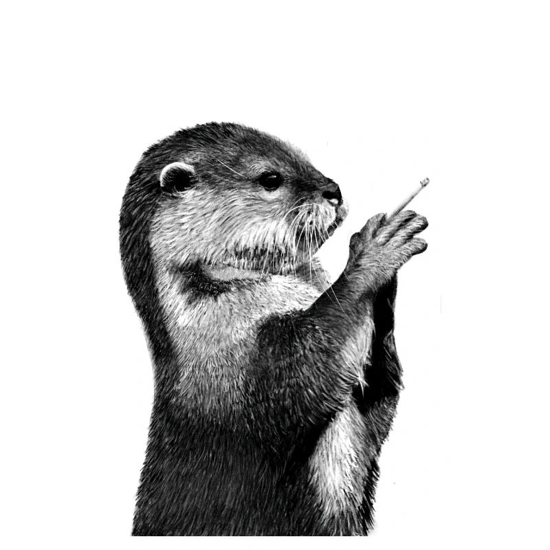 Otter