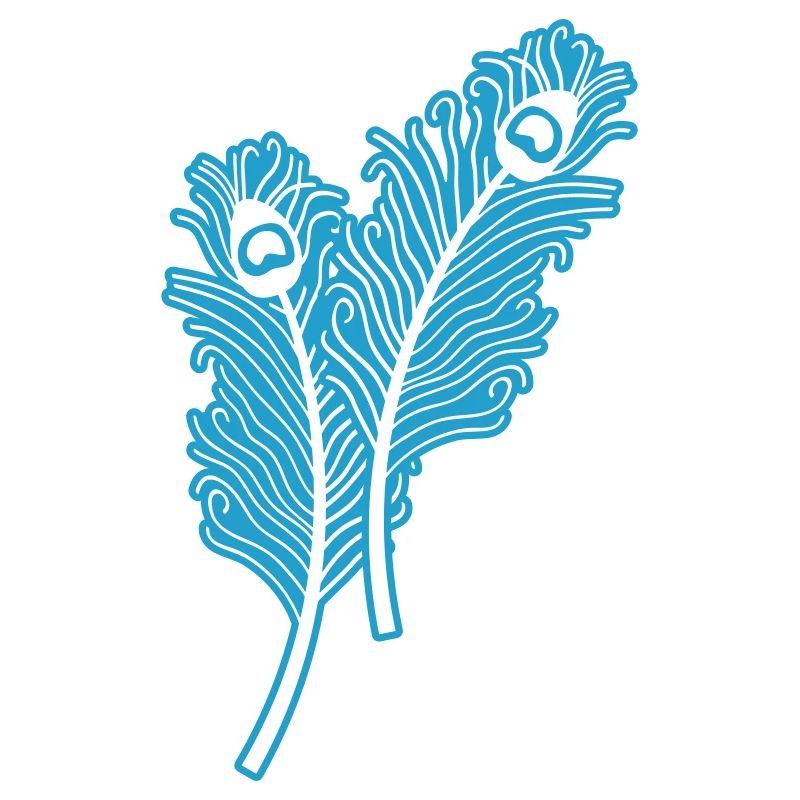 Plumes de paon