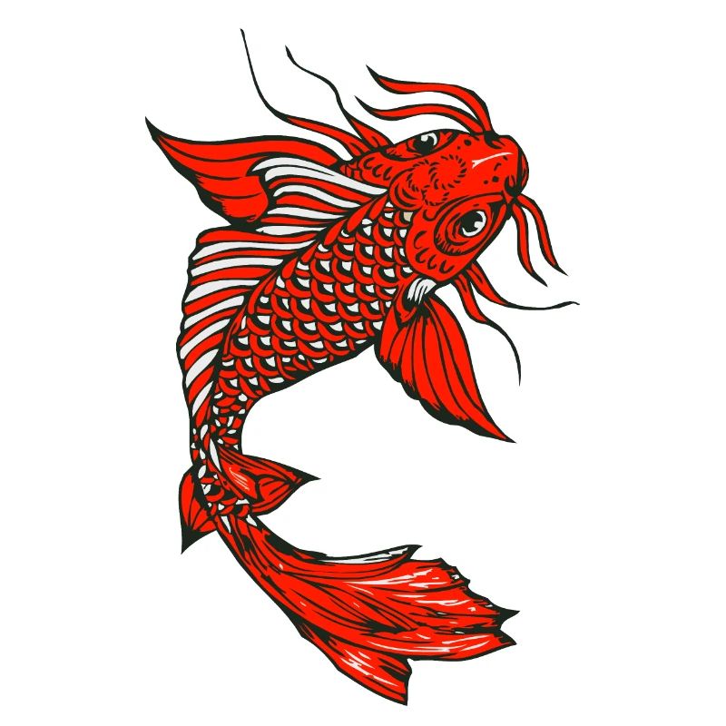 Japanese koi carp fish drawing 1403 A