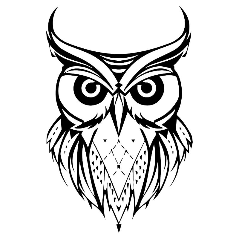 Eule Eulen Vogel Vögel