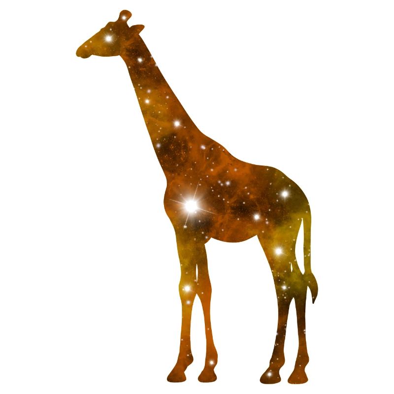 Galaxy Giraffe