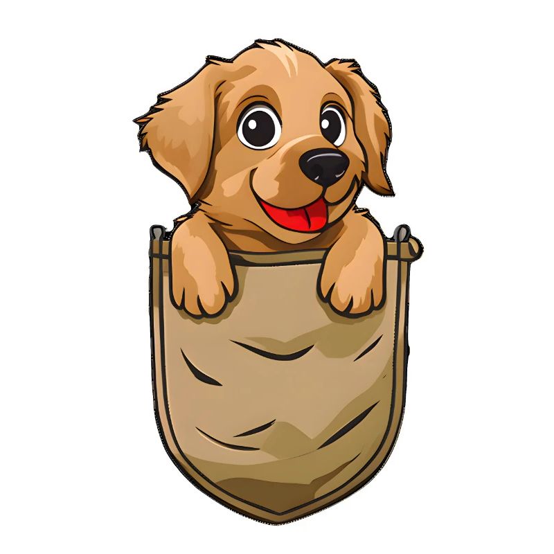Hund in der Hemdtasche