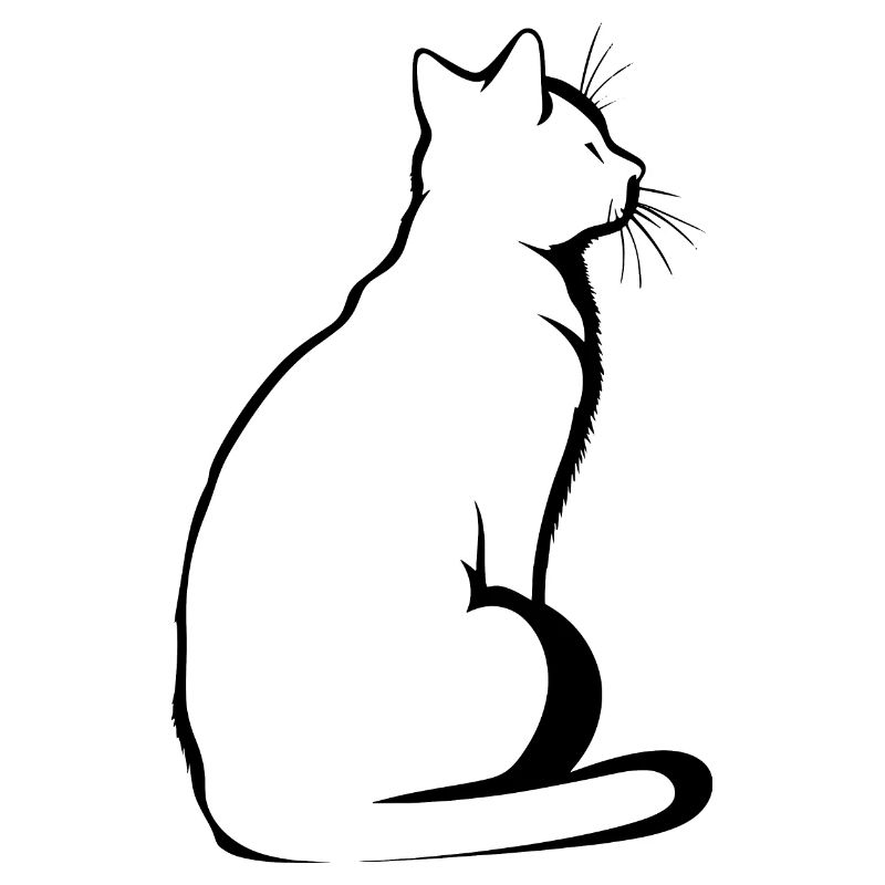 Cat, Cat Motif