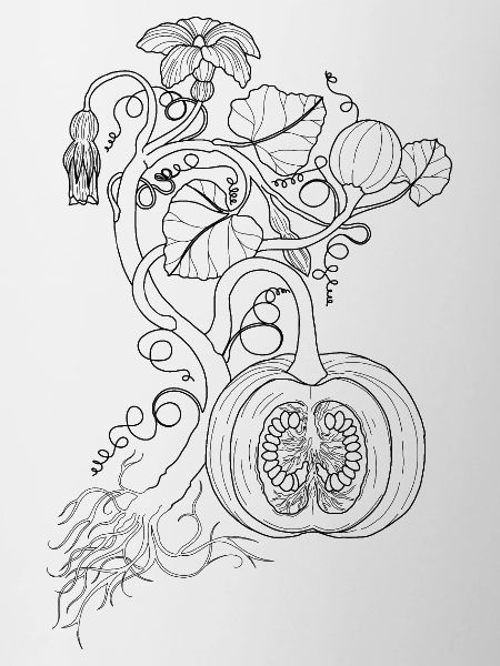 Citrouille