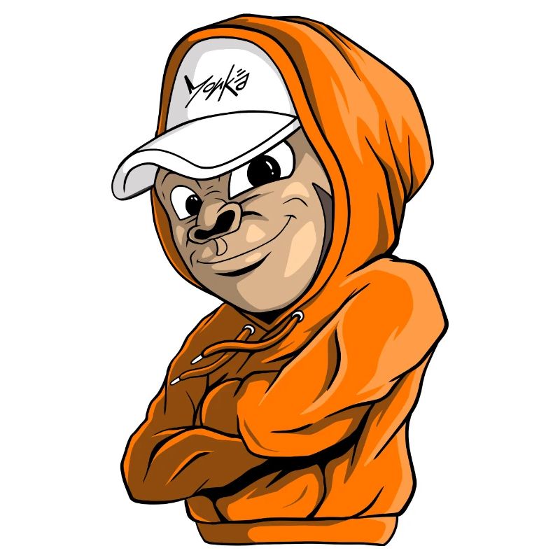 monkä Cool Boy Singe