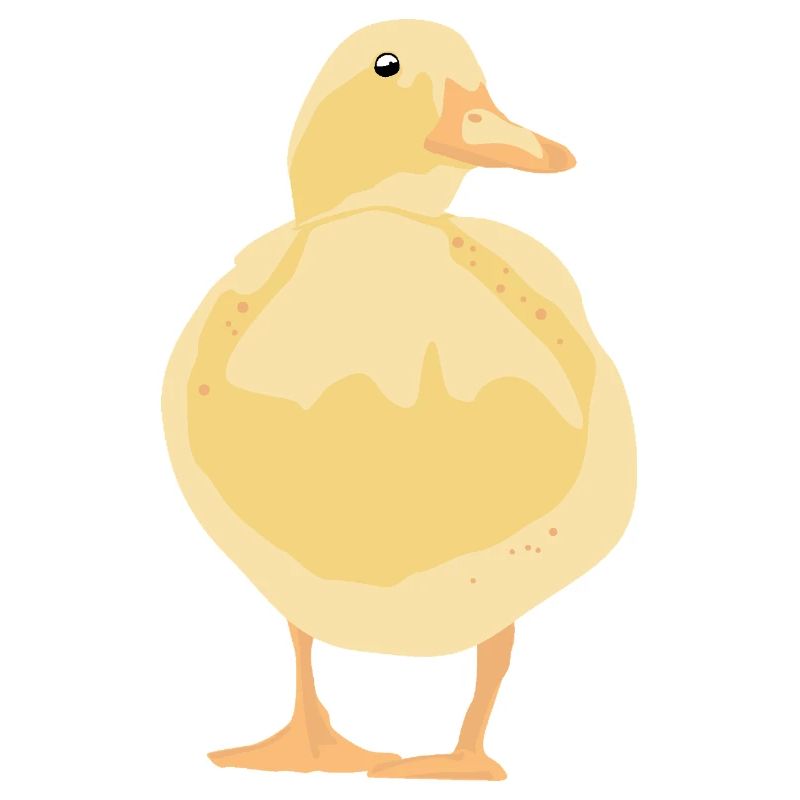 yellow duck