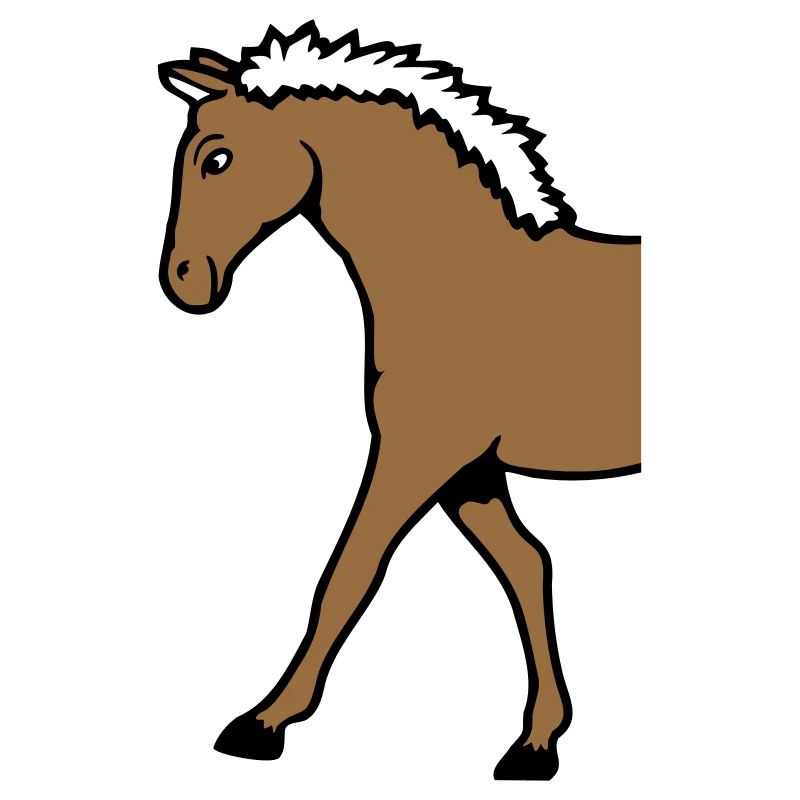Half Horse Front Part Front Half Front Goes