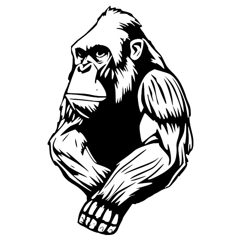 Monkey T-shirt Gift