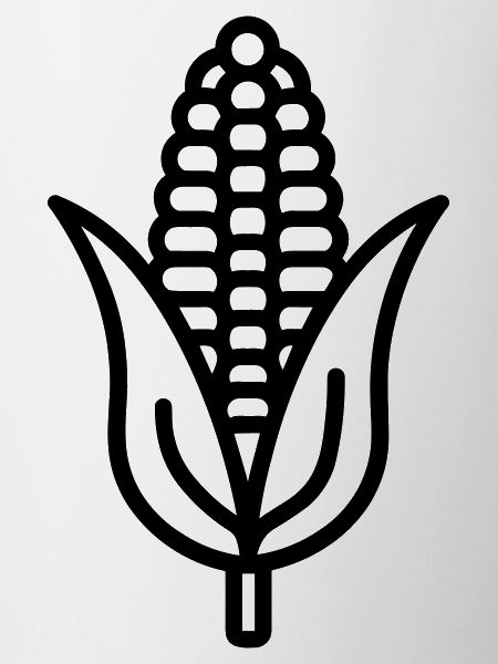 épi de maïs
