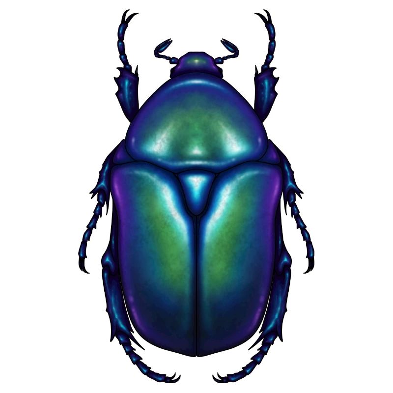 Blue Flowerbeetle