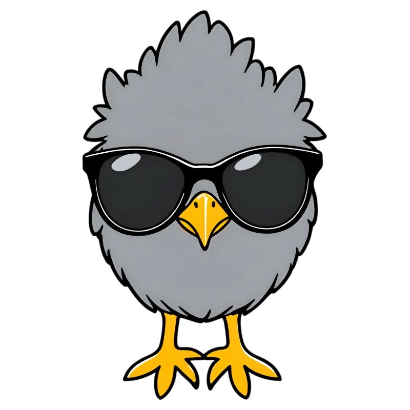 Chill chicks with sunglasses