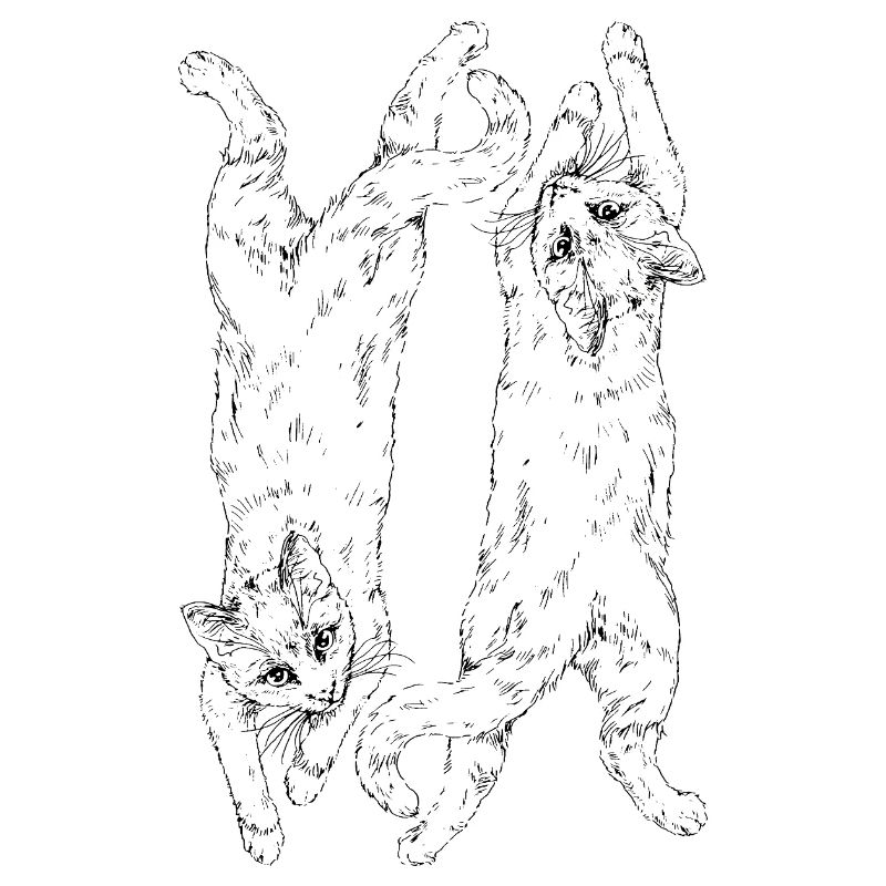 cats