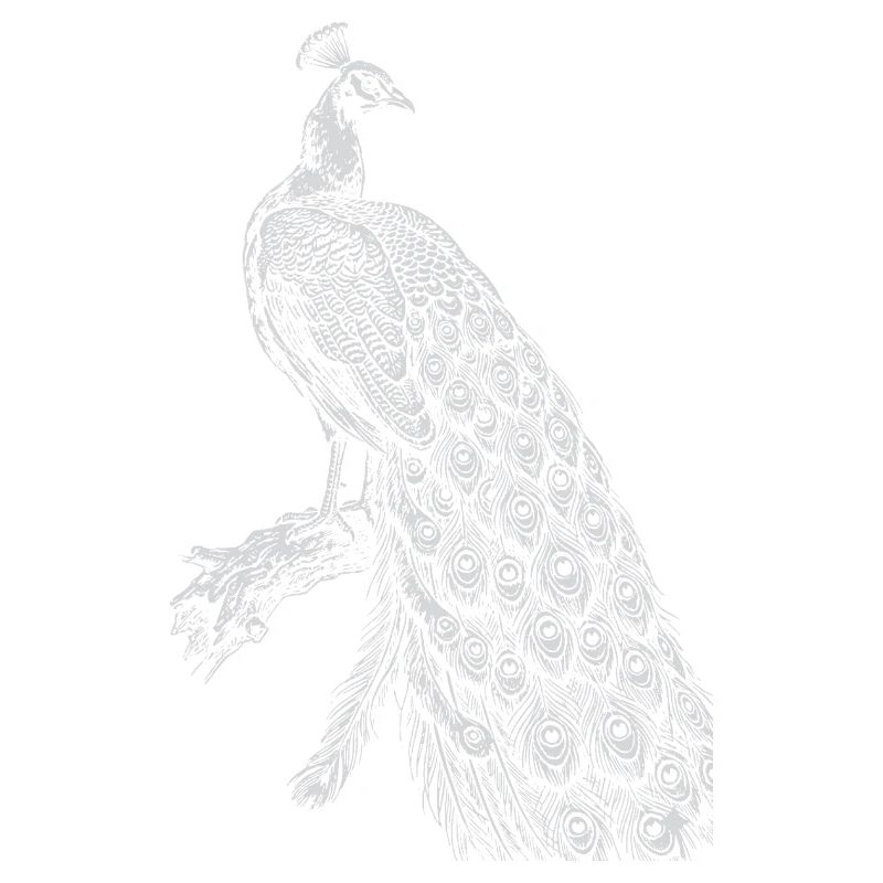 Peacock Lace on Black