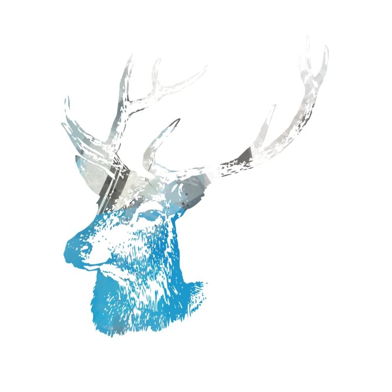 Hirsch