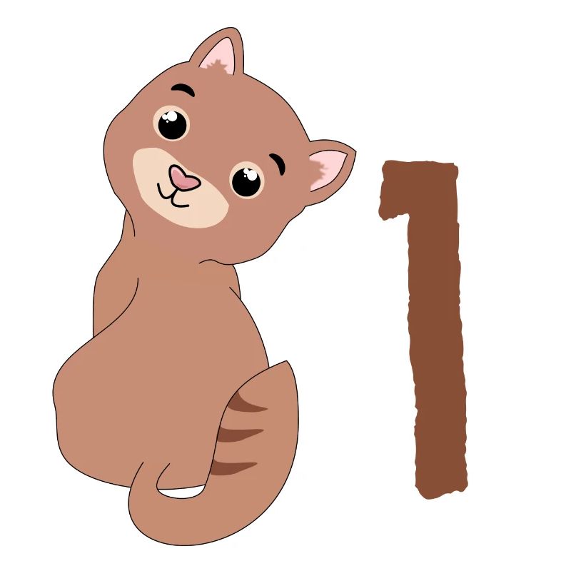 Chat brun - 1er anniversaire