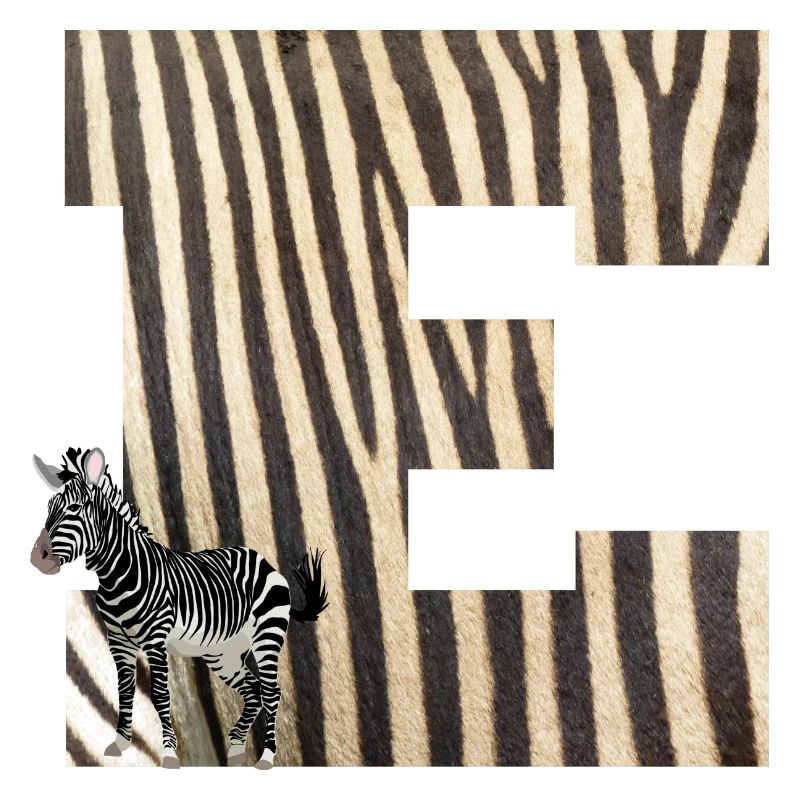 zèbre e