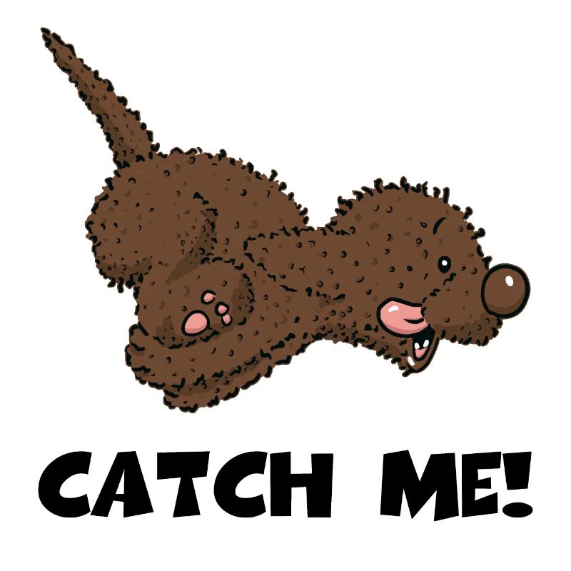 catch1 2